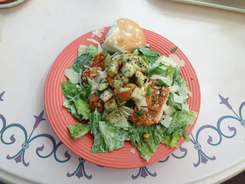 Chicken Caesar salad of dressed Romaine, garlic croutons, Parmesan shavings and grilled chicken on a coral plate