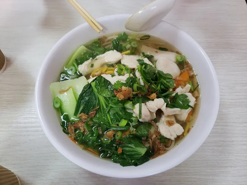 Bowl of clear chicken broth with noodles, tender chicken pieces, pak choi, herbs and spring onion